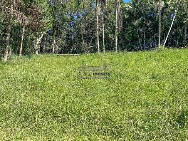 #247 - Terreno em condomínio para Venda em Santo Antônio do Pinhal - SP - 3