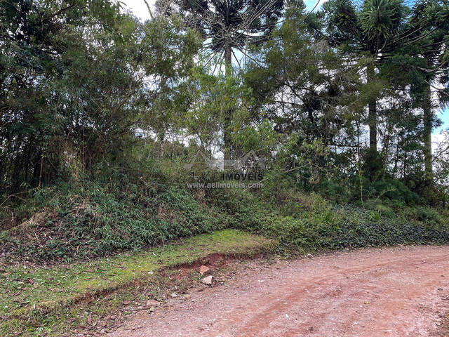 #286 - Terreno para Venda em Campos do Jordão - SP - 1