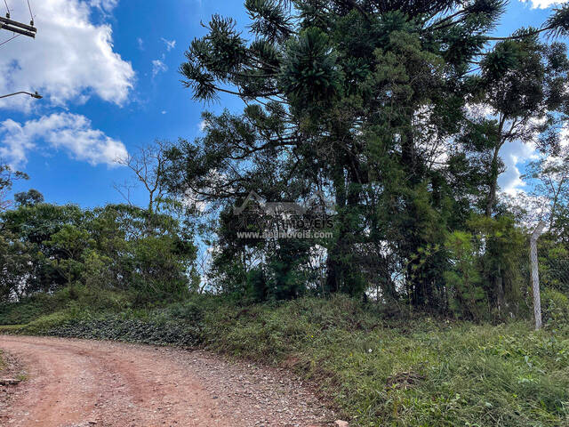 #286 - Terreno para Venda em Campos do Jordão - SP - 2