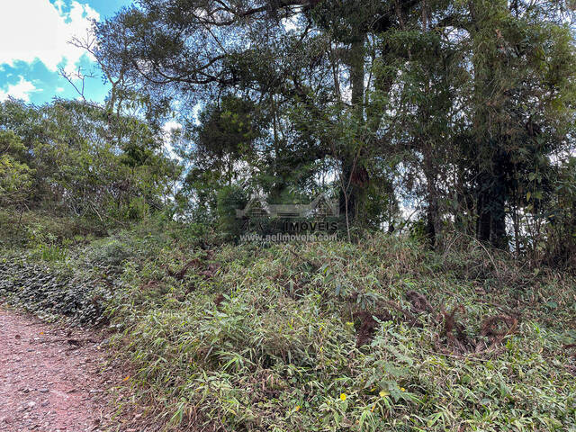 #286 - Terreno para Venda em Campos do Jordão - SP - 3