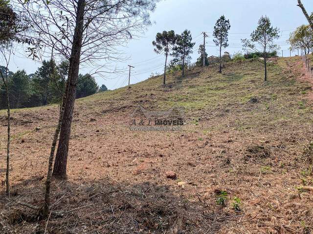 #298 - Terreno para Venda em Campos do Jordão - SP - 3