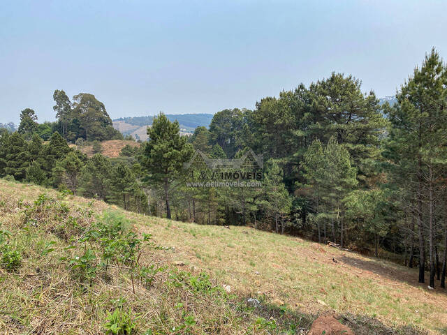 #299 - Terreno para Venda em Campos do Jordão - SP - 3