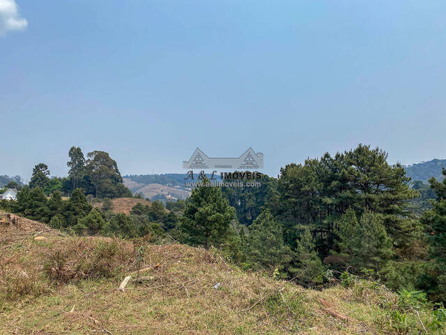 #299 - Terreno para Venda em Campos do Jordão - SP - 2