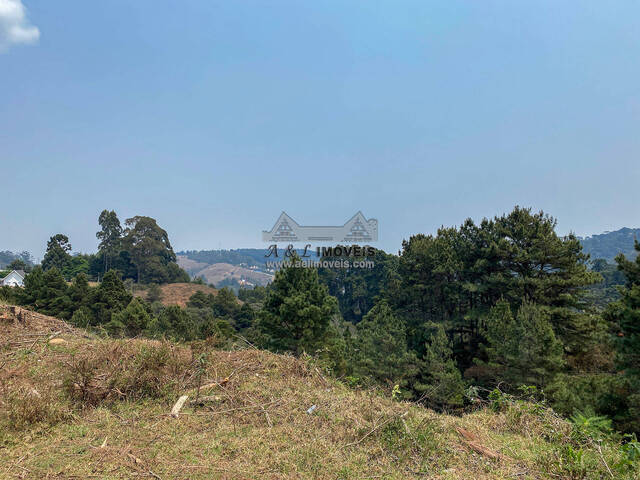 #300 - Terreno para Venda em Campos do Jordão - SP - 3