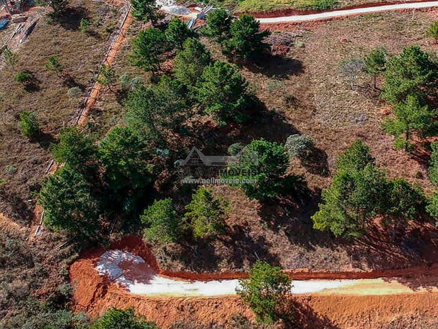 #308 - Terreno para Venda em Campos do Jordão - SP - 1