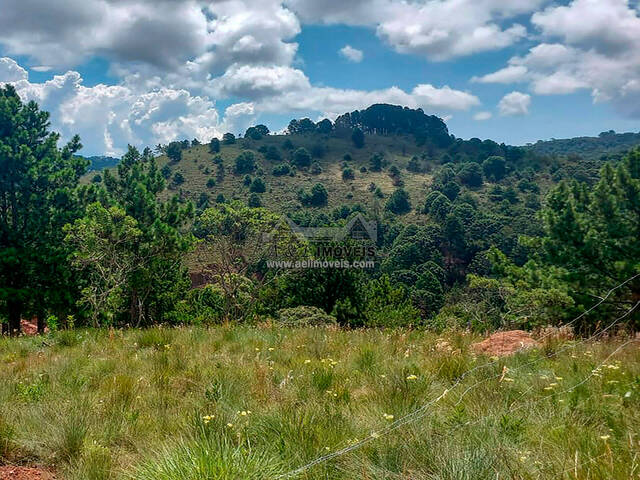 #308 - Terreno para Venda em Campos do Jordão - SP - 2