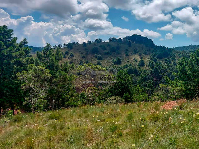 #308 - Terreno para Venda em Campos do Jordão - SP - 3