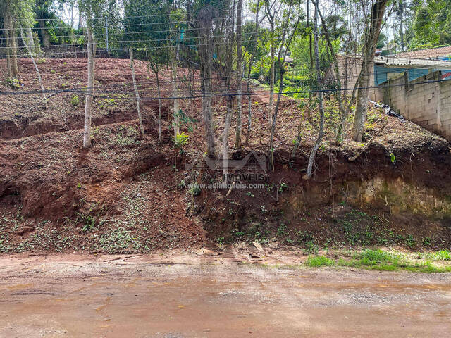 #322 - Terreno para Venda em Campos do Jordão - SP - 1