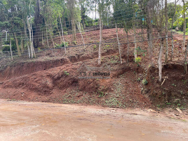 #322 - Terreno para Venda em Campos do Jordão - SP - 2