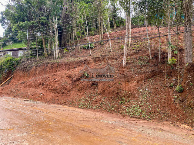 #322 - Terreno para Venda em Campos do Jordão - SP - 3