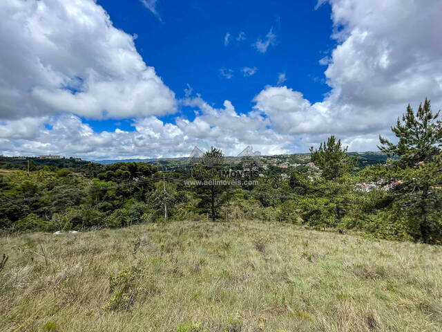 #323 - Área para Venda em Campos do Jordão - SP - 1